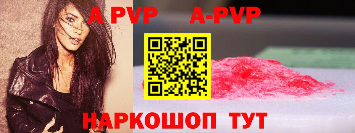 A-PVP СК КРИС Новодвинск