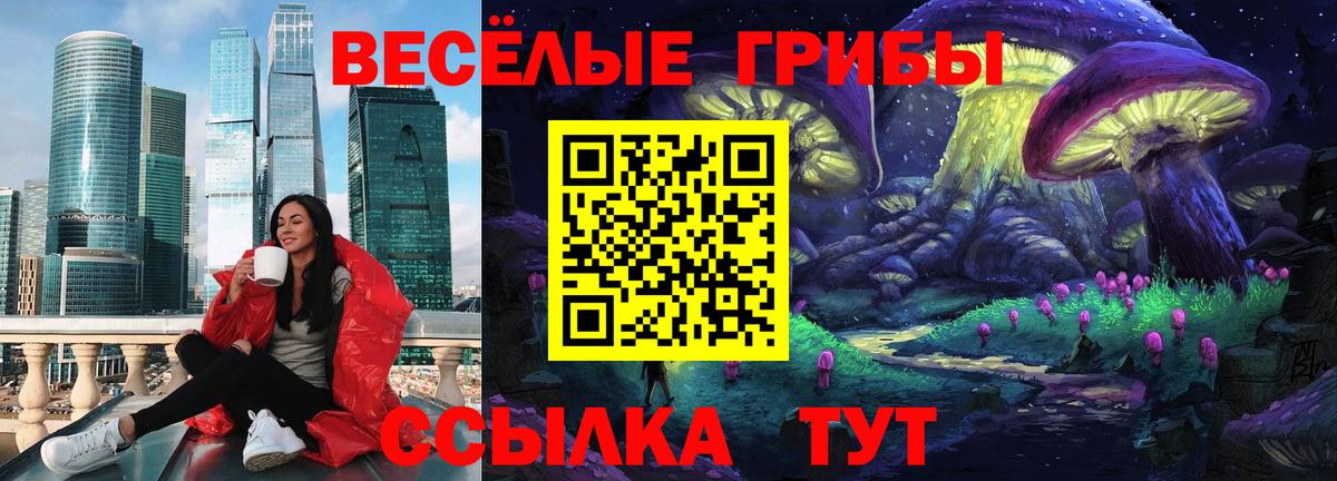 Новодвинск  Псилоцибиновые грибы Psilocybine cubensis  Вход с VPN 