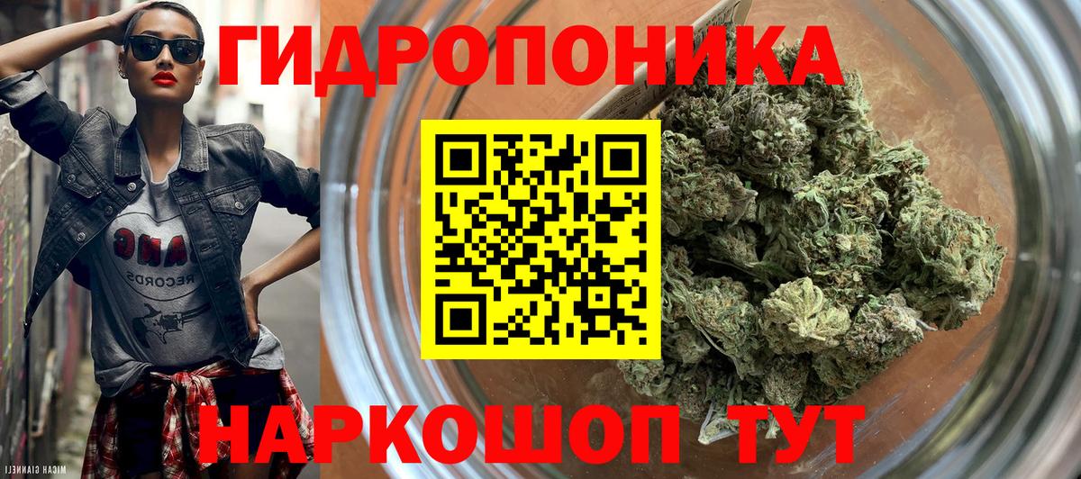 Канабис конопля  Бошки Шишки ГИДРОПОН  Новодвинск  Вход с VPN  Конопля ГИДРОПОН 